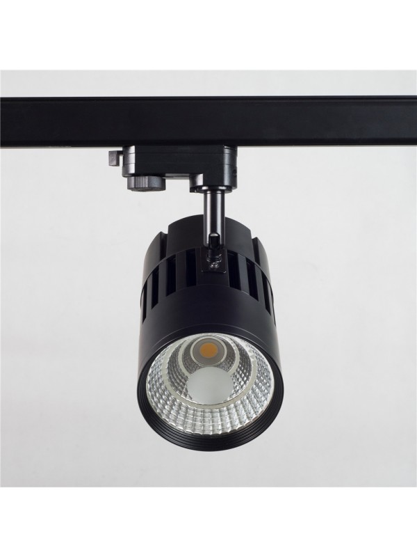 Spot Led Sina COB-20W 