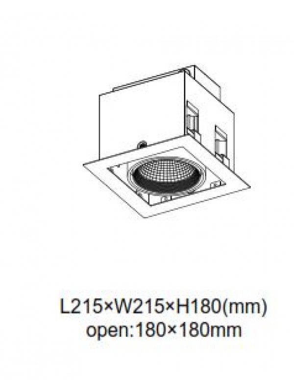 Lampă Spot Grile Unic JLDC211-20W