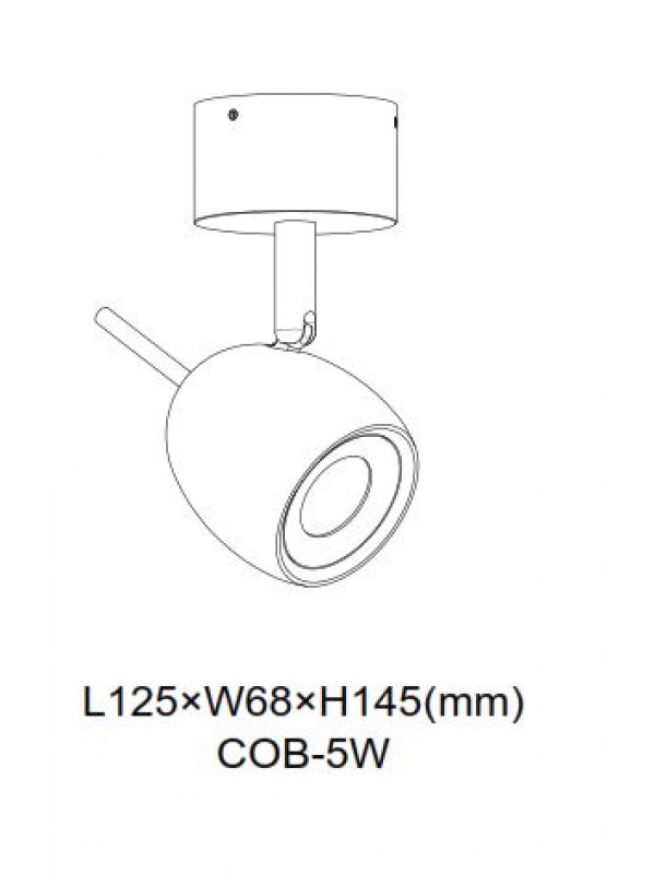 Lampă Spot Oval JLSP213
