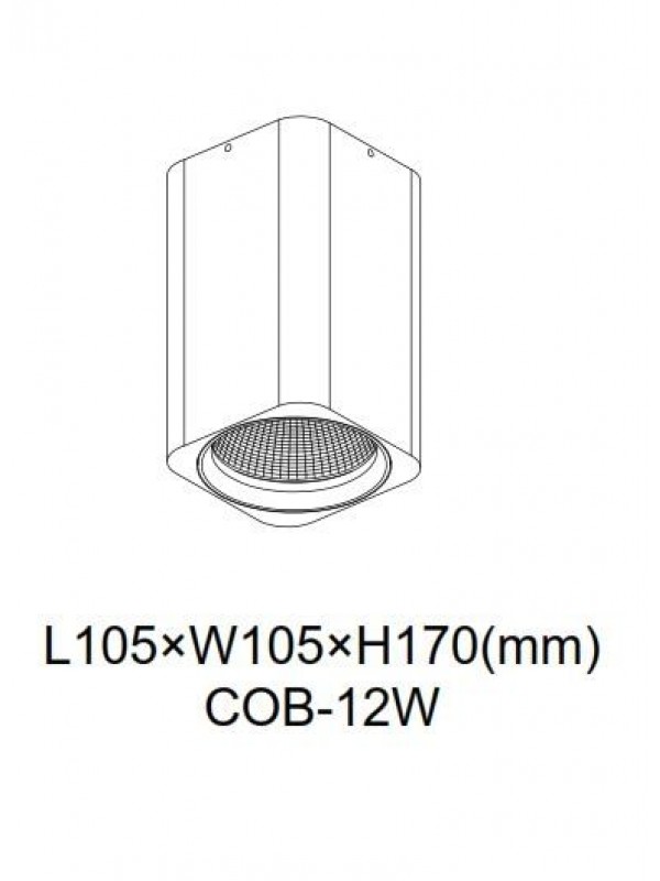 Spot Led JLBL214